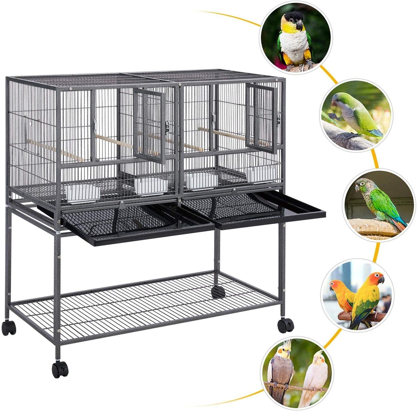 Large bird cage with wheels on a white background, featuring images of birds in different colors.