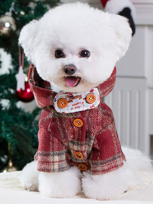 Small white dog wearing a red plaid coat with a Christmas tree in the background