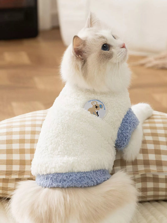 Cat wearing a white sweater with blue trim sitting on a checkered surface.