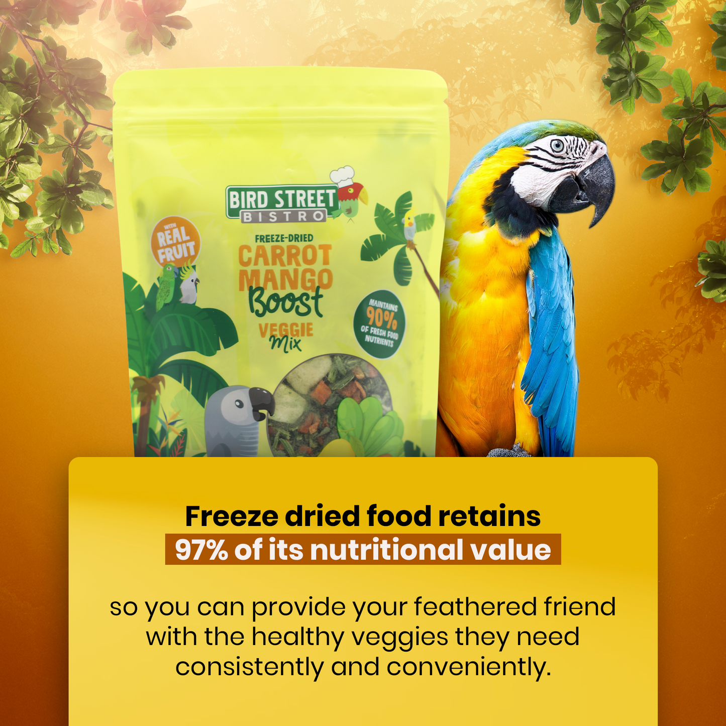 Bird Street Bistro freeze-dried food package with a parrot on an orange background