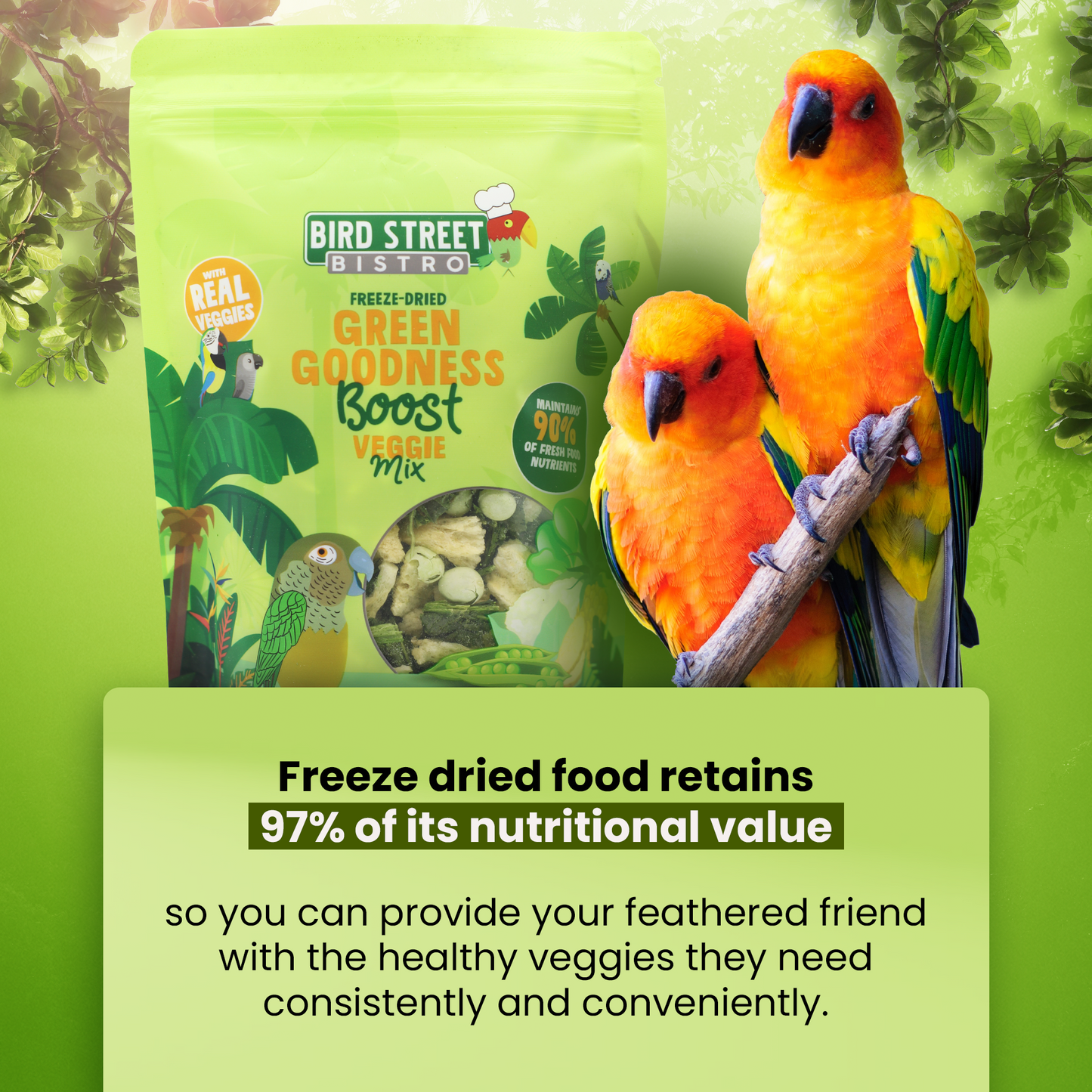 Bird Street Bistro freeze-dried green goodness boost veggie mix packaging with two colorful parrots on a branch.