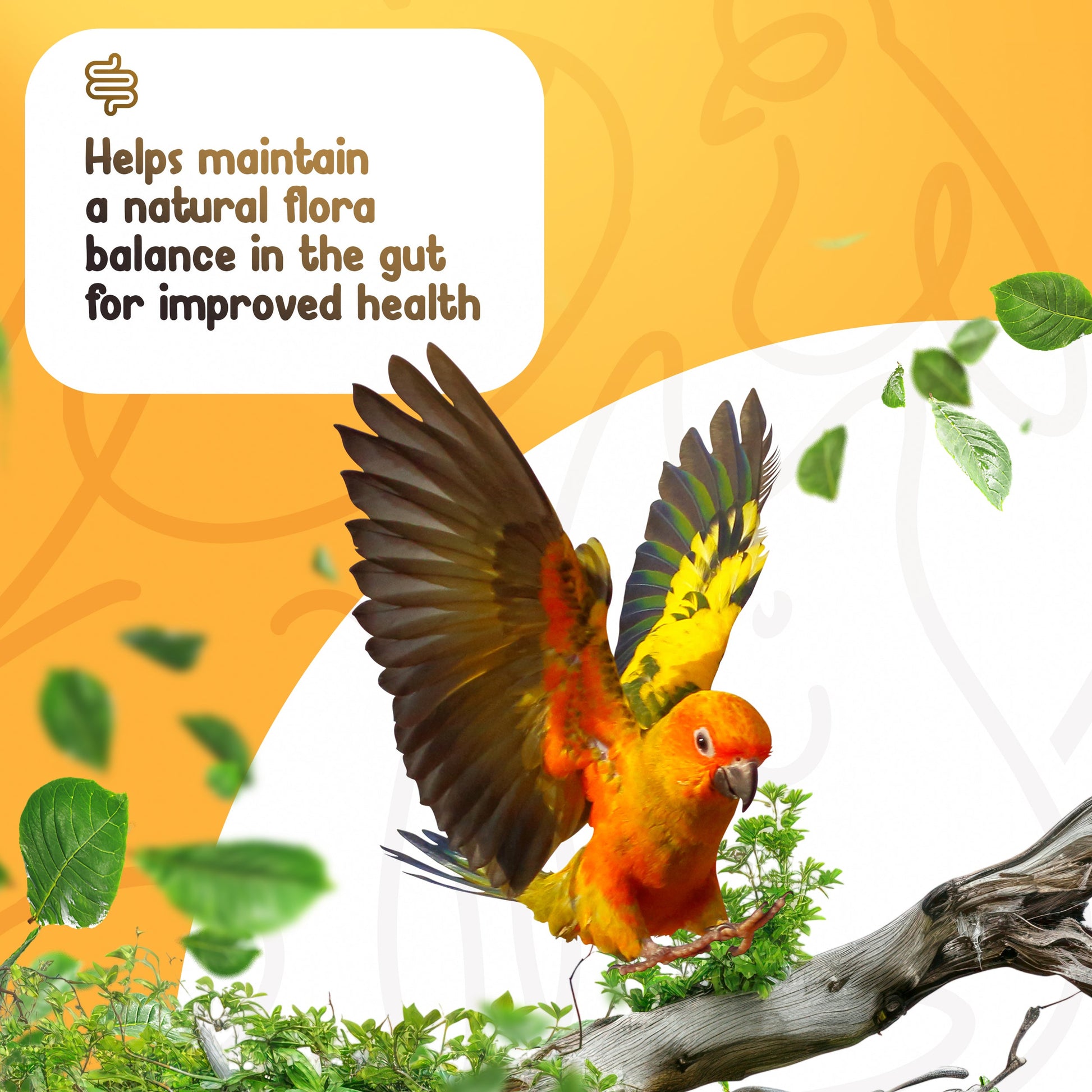 Parrot on a branch with green leaves and an orange background