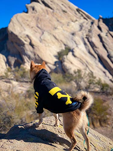 Dog wearing a black and yellow hoodie standing on a rocky landscape with mountains in the background