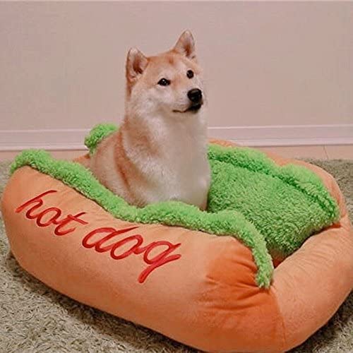 Dog sitting on a hot dog-shaped pet bed with green blanket