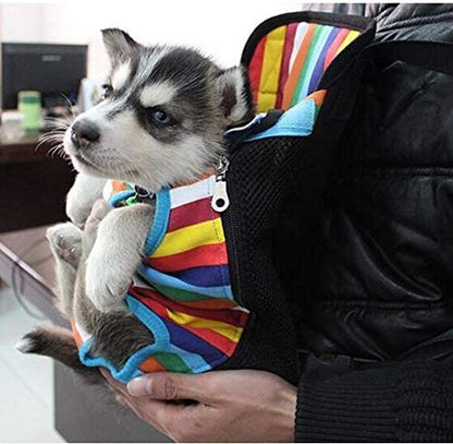 Person holding a small dog wearing a colorful rainbow outfit.