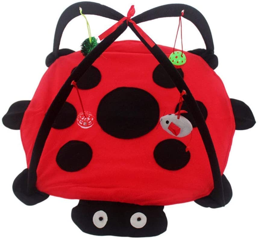 Red and black ladybug-shaped backpack on a white background