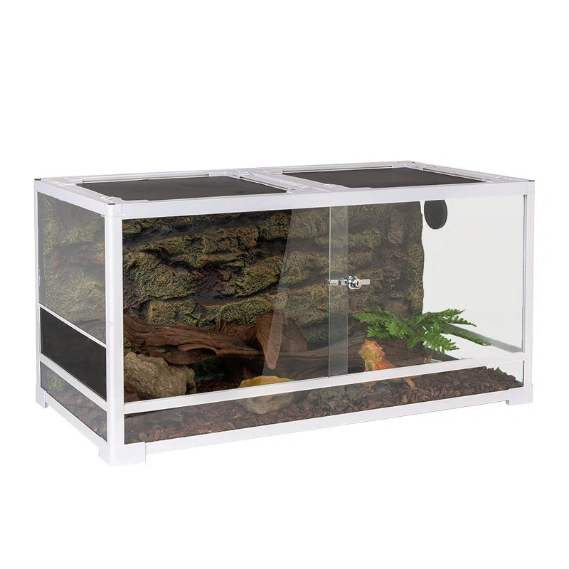 Tortoise terrarium with a naturalistic design on a white background