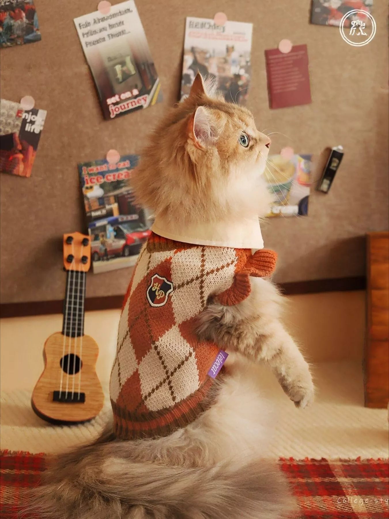 Cat wearing a sweater standing on a couch with a ukulele and scattered papers in the background.