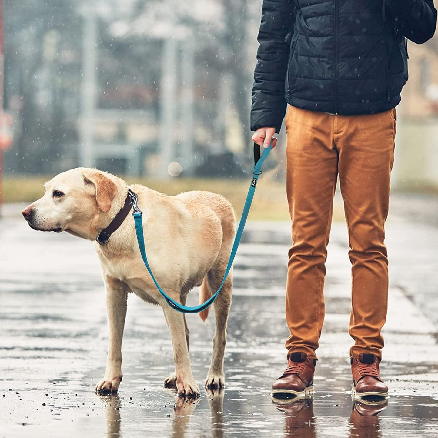 Person walking a dog on a leash in the rain