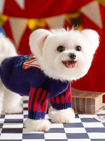 Small white dog wearing a colorful sweater on a checkered floor with a red curtain background