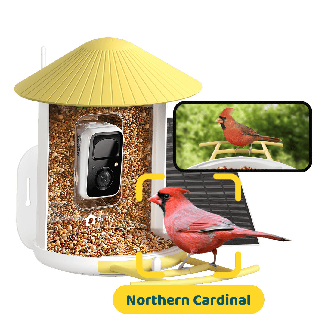 Birdfy Feeder with Solar Panel - Solar-Powered Smart Bird Feeder with Camera - Image 13