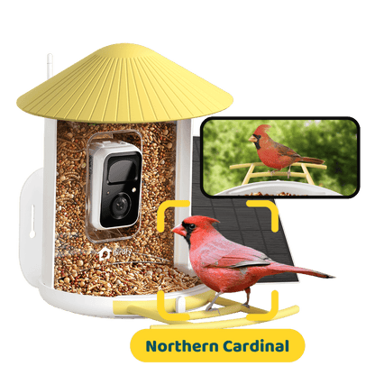 Birdfy Feeder with Solar Panel - Solar-Powered Smart Bird Feeder with Camera - Image 13