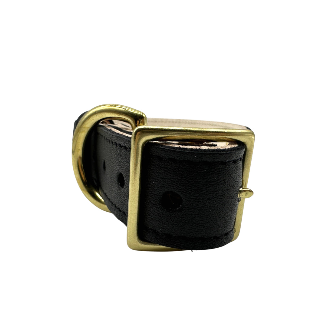 Plain Leather Dog Collar - Image 30