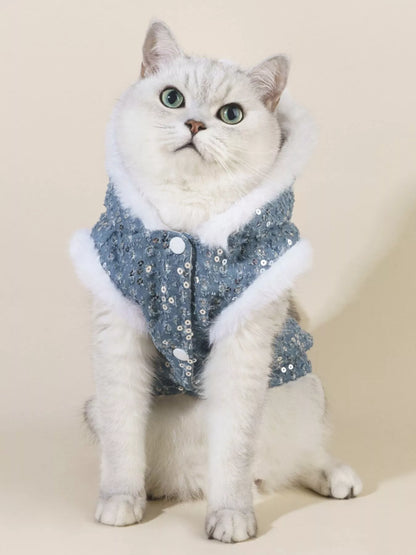 Cat wearing a blue sequined coat with white fur trim on a beige background