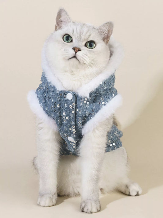 Cat wearing a blue sequined coat with white fur trim on a beige background