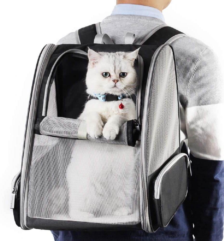 Person carrying a pet carrier with a cat inside, set against a neutral background