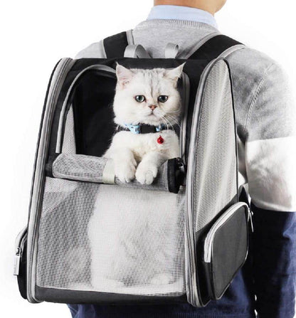 Person carrying a pet carrier with a cat inside, set against a neutral background