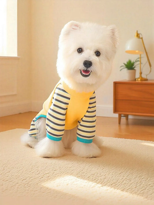 Small white dog wearing a yellow and striped shirt indoors on a carpeted floor.
