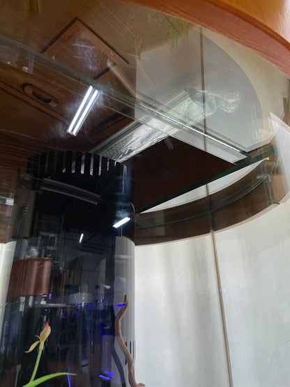 Glass aquarium with wooden cabinet in a room setting