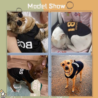 Four images of cats and dogs wearing black shirts with text, arranged in a grid on a beige background.