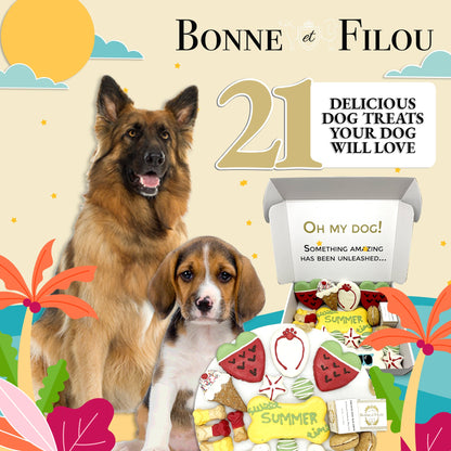 Dog treats packaging with two dogs and colorful design elements on a beige background
