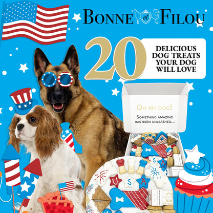 Promotional image for Bonne Filou dog treats with two dogs and a box of treats on a blue background.