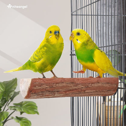 Two green parakeets on a perch inside a cage with a white wall and plant in the background.