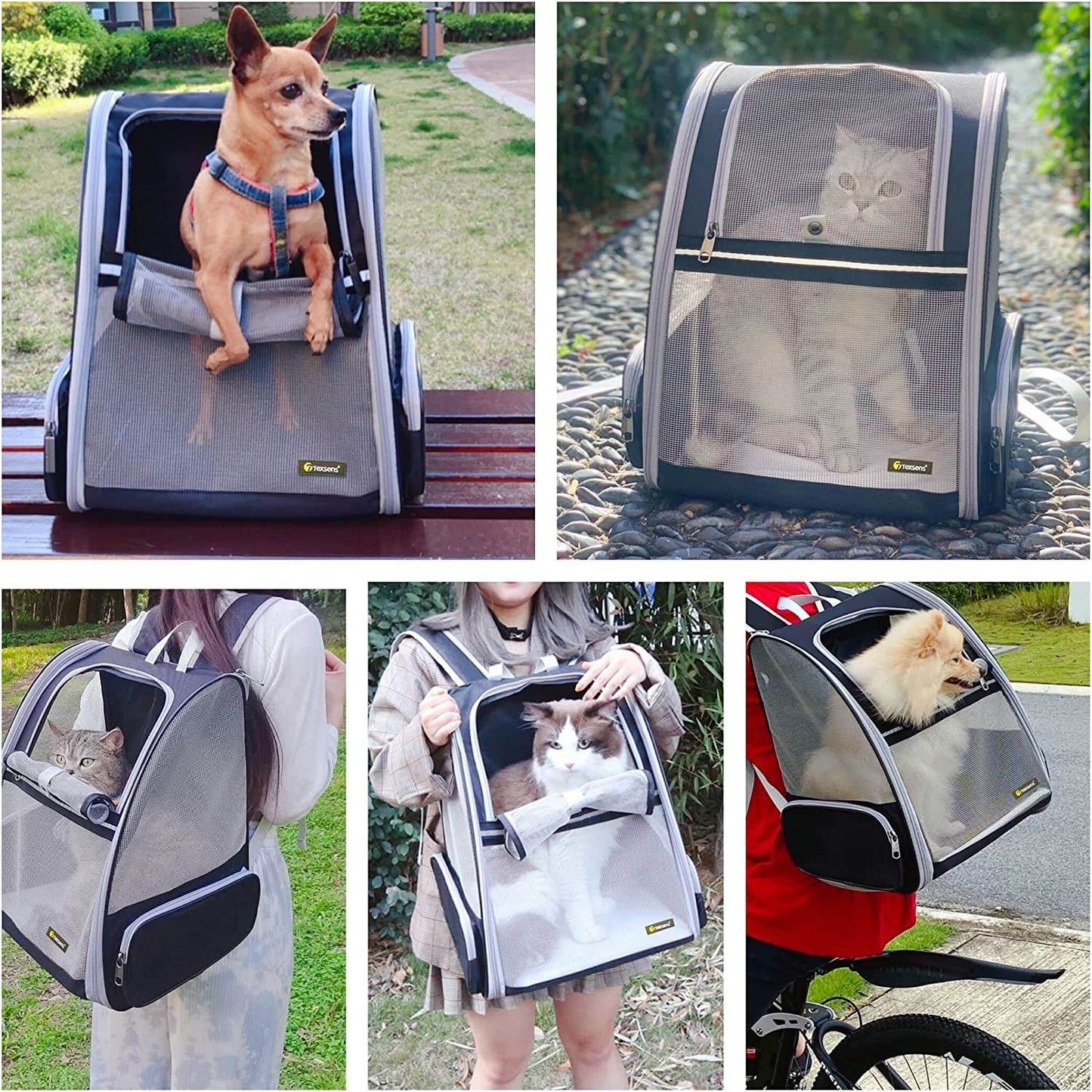 Collage of a pet carrier being used with a dog, cat, and other pets in various settings.