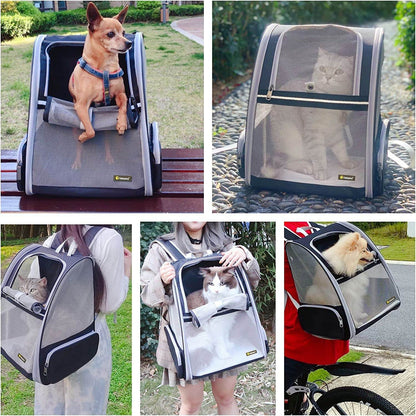 Collage of a pet carrier being used with a dog, cat, and other pets in various settings.