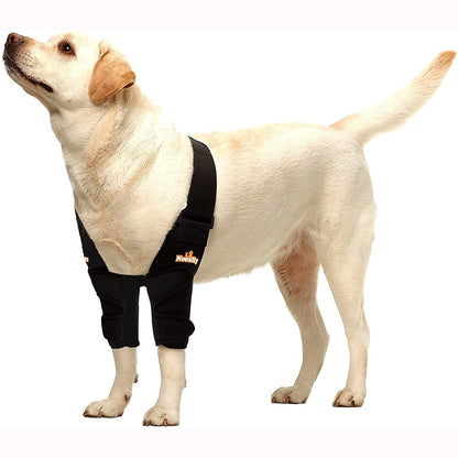 Dog wearing a black protective sleeve on one leg against a white background