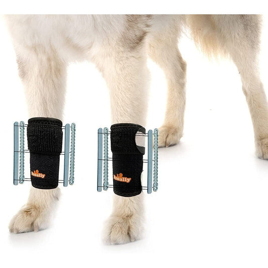 Dog wearing black paw protectors on a white background