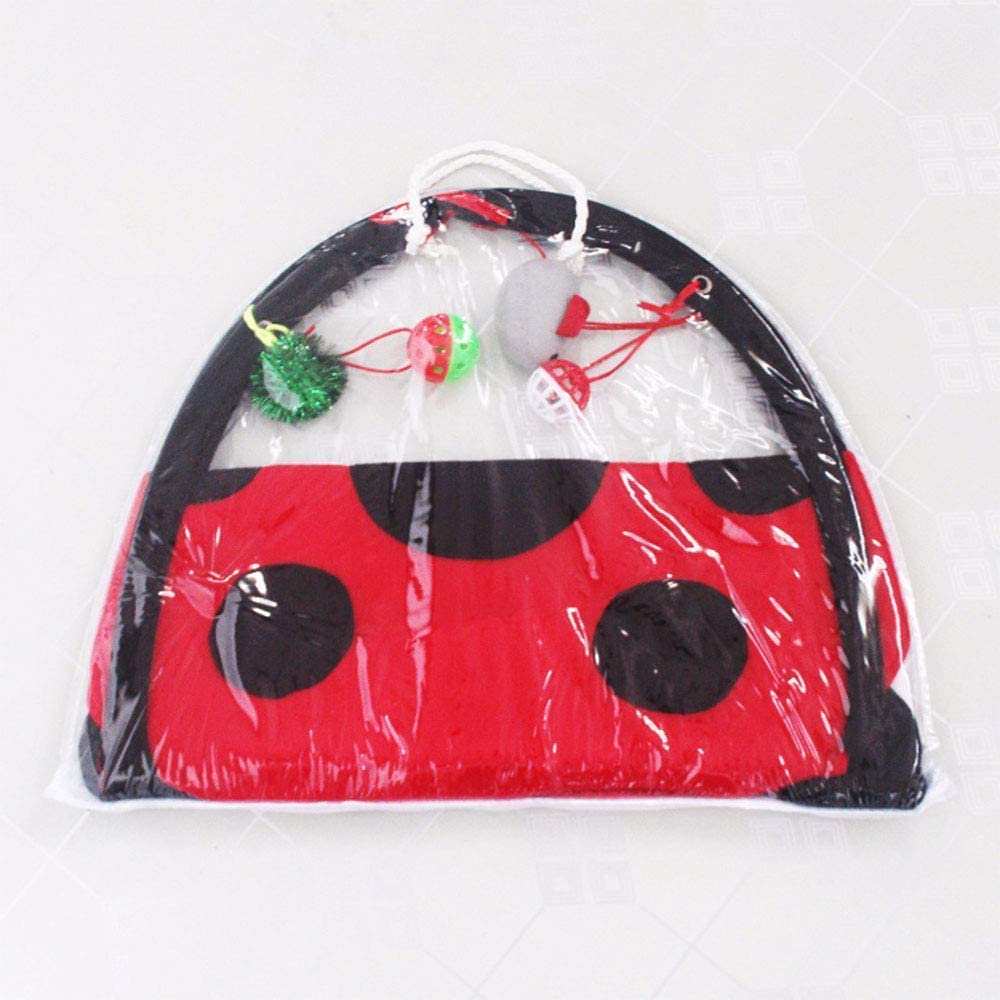 Red and black ladybug-shaped arch with small toys inside, wrapped in clear plastic on a white background.