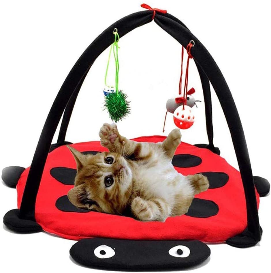 Cat playing with a ladybug-shaped cat toy with hanging toys on a white background