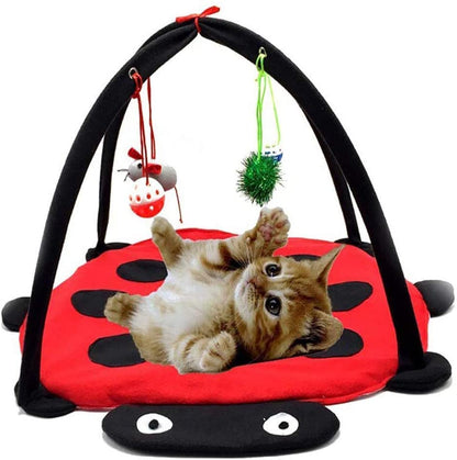 Cat playing with a red and black ladybug-shaped cat toy with hanging toys.