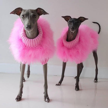 Two dogs wearing pink fluffy outfits on a white background