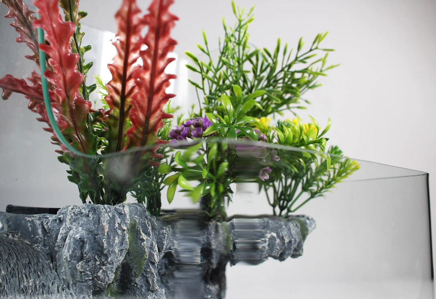 Decorative aquarium with plants and rocks on a white background