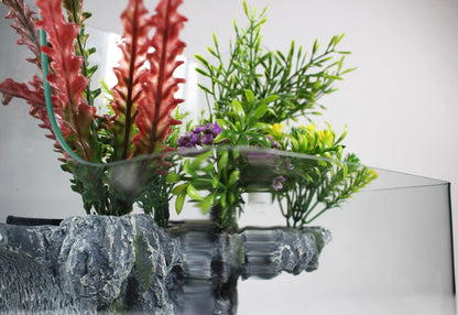 Decorative aquarium with plants and rocks on a white background
