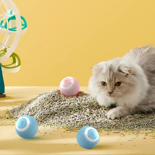 A sleek, playful cat with a sleek coat sits among an assortment of colorful toy balls, batting at one with a paw.