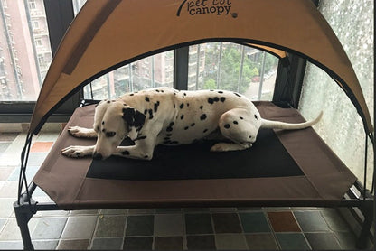 Dog lying on a pet canopy bed indoors
