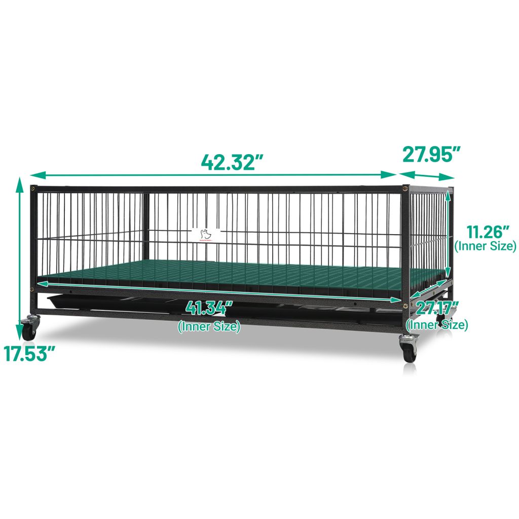 Dimensions of a pet cage with green bedding on a white background