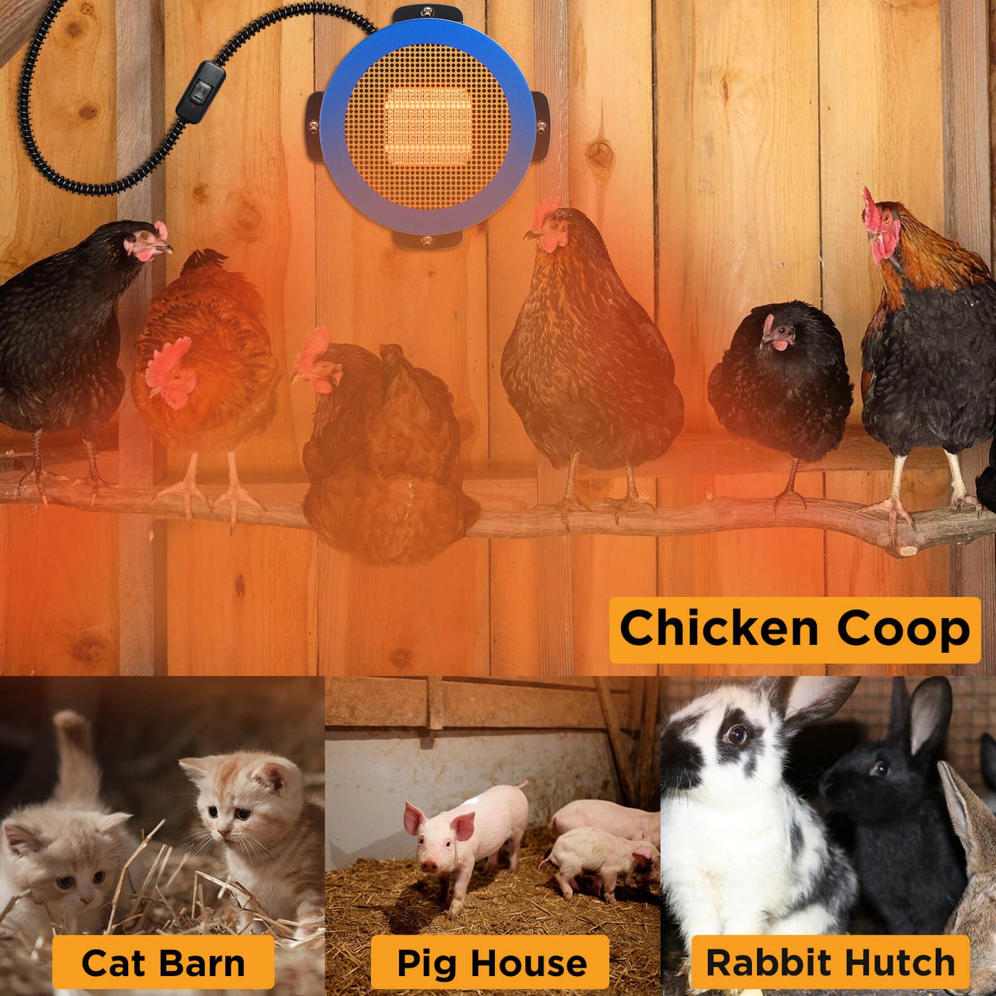 Collage of animals in different enclosures with labels for 'Chicken Coop', 'Cat Barn', 'Pig House', and 'Rabbit Hutch'.