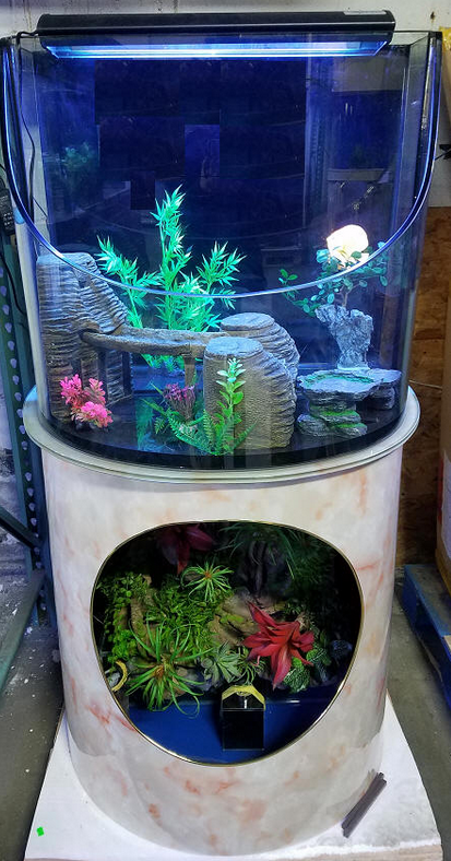 Fish tank with decorative elements on a stand