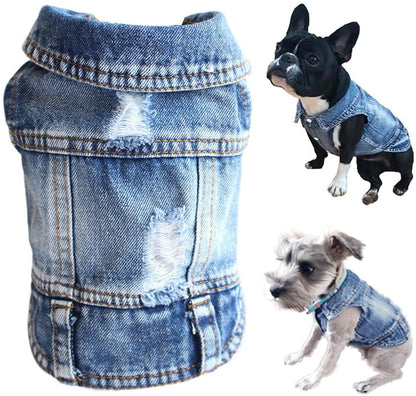 Denim dog coat with two dogs wearing it on a white background