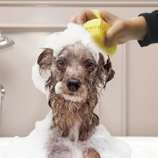 Dog being bathed with yellow silicone grooming brush in sink