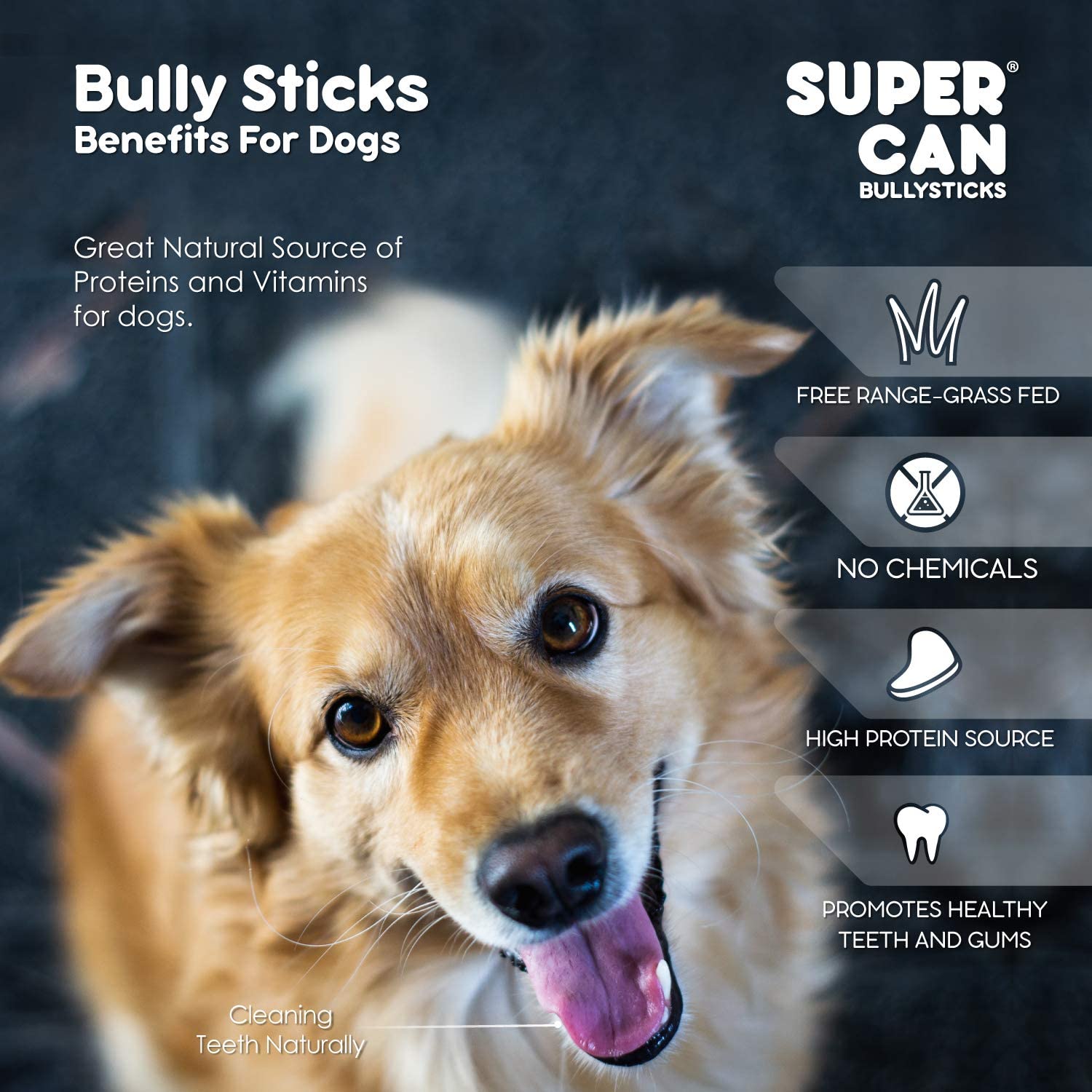 Dog with Super Can Bully Sticks branding and text about benefits for dogs.