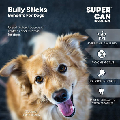 Dog with Super Can Bully Sticks branding and text about benefits for dogs.