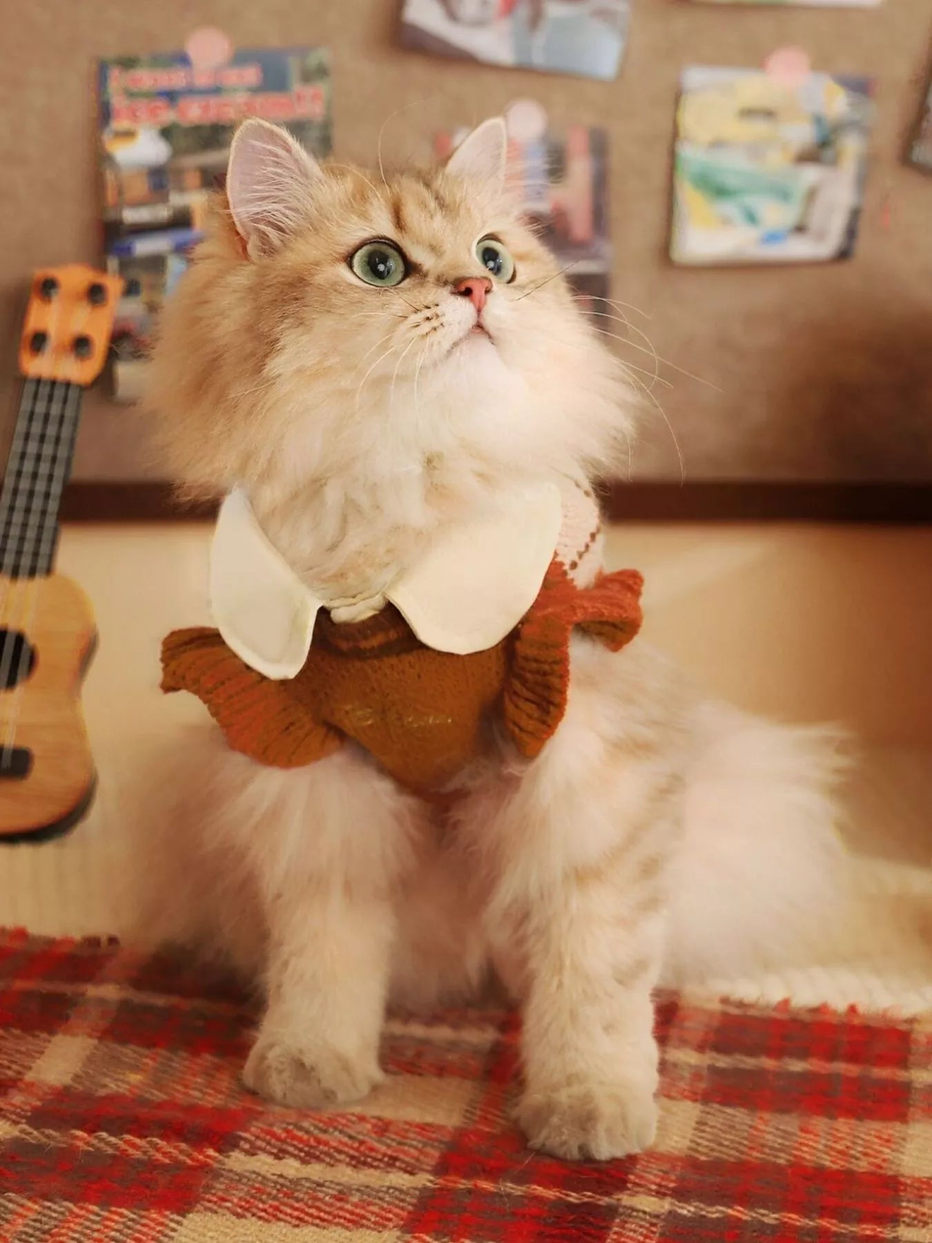 Cat wearing a sweater sitting on a plaid surface with a guitar in the background