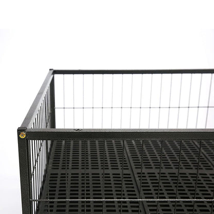 Black wire cage with a white background