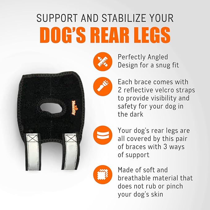 Dog leg brace with features and benefits on a white background