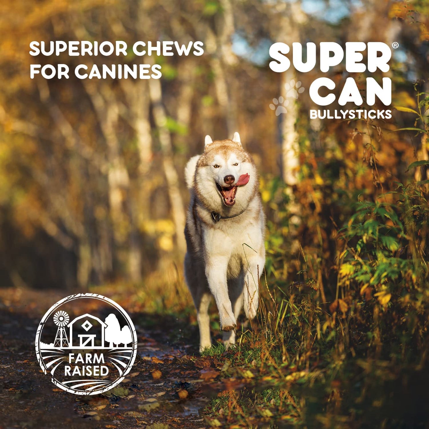 Dog running through a forest with 'Super Can Bullysticks' branding and 'Farm Raised' label.